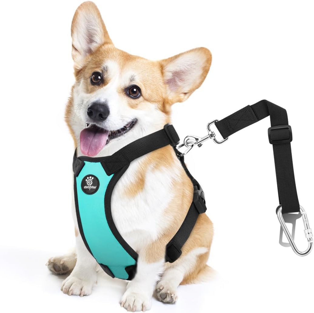Dog Seat Belt, Safety Vest Dog Car Harness with Adjustable Buckle Dog Seat Belt for Vehicle Nylon Pet Safety Seat Belts Heavy Duty(M, Blue) - Pet Explorer