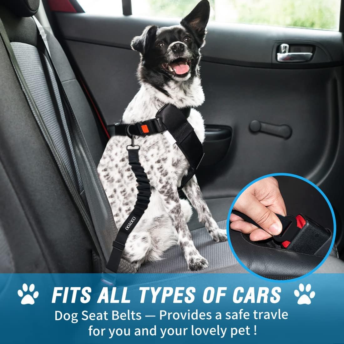 COOYOO Dog Seat Belt,3 Piece Set Retractable Dog Car Harness Adjustable Seat Belt for Vehicle Nylon Pet Safety Seat Belts Heavy Duty & Elastic - Pet Explorer