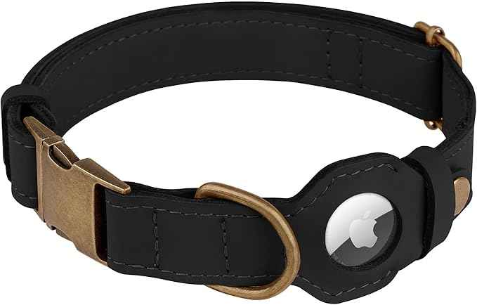 AirTag Dog Collar - Genuine Leather Dog Collar with Apple AirTag Holder and Metal Buckle - Smart GPS Tracking Pet Collars (Black, M, 14"-18" Neck Fit)