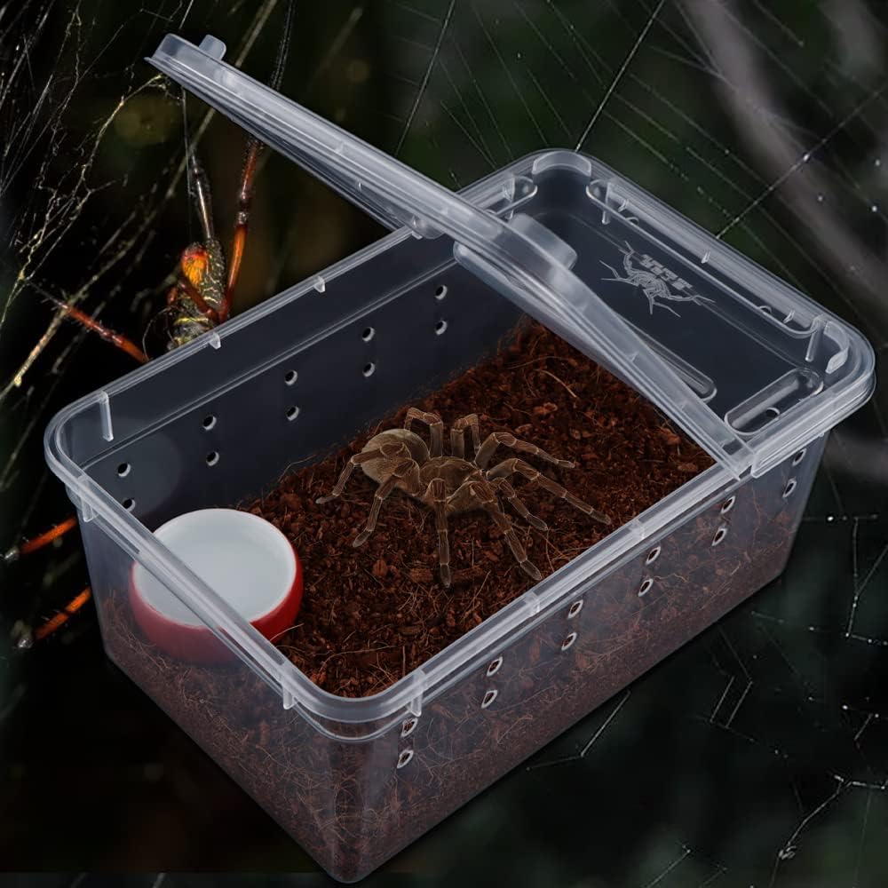 5 Pcs Spider Small Terrariums Breeding Box Transparent Hatching Container Plastic Feeding Box for Small Reptile Spider Scorpion Centipede Insect - Pet Explorer