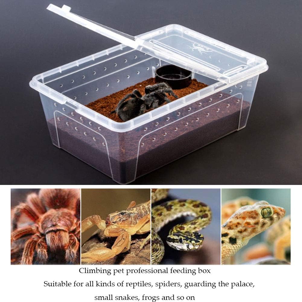 2 PCS Reptile Feeding Box Lizard Tarantula Habitat Cage Hatching Container Snake Breeding Box Transparent Portable Plastic Mini Pet Houses for Scorpion Spider Frog - Pet Explorer