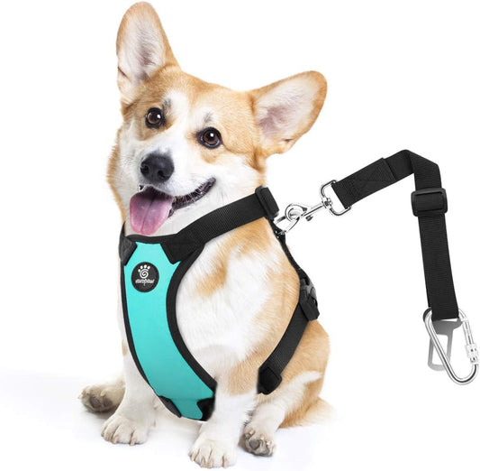Dog Seat Belt, Safety Vest Dog Car Harness with Adjustable Buckle Dog Seat Belt for Vehicle Nylon Pet Safety Seat Belts Heavy Duty(S, Blue) - Pet Explorer