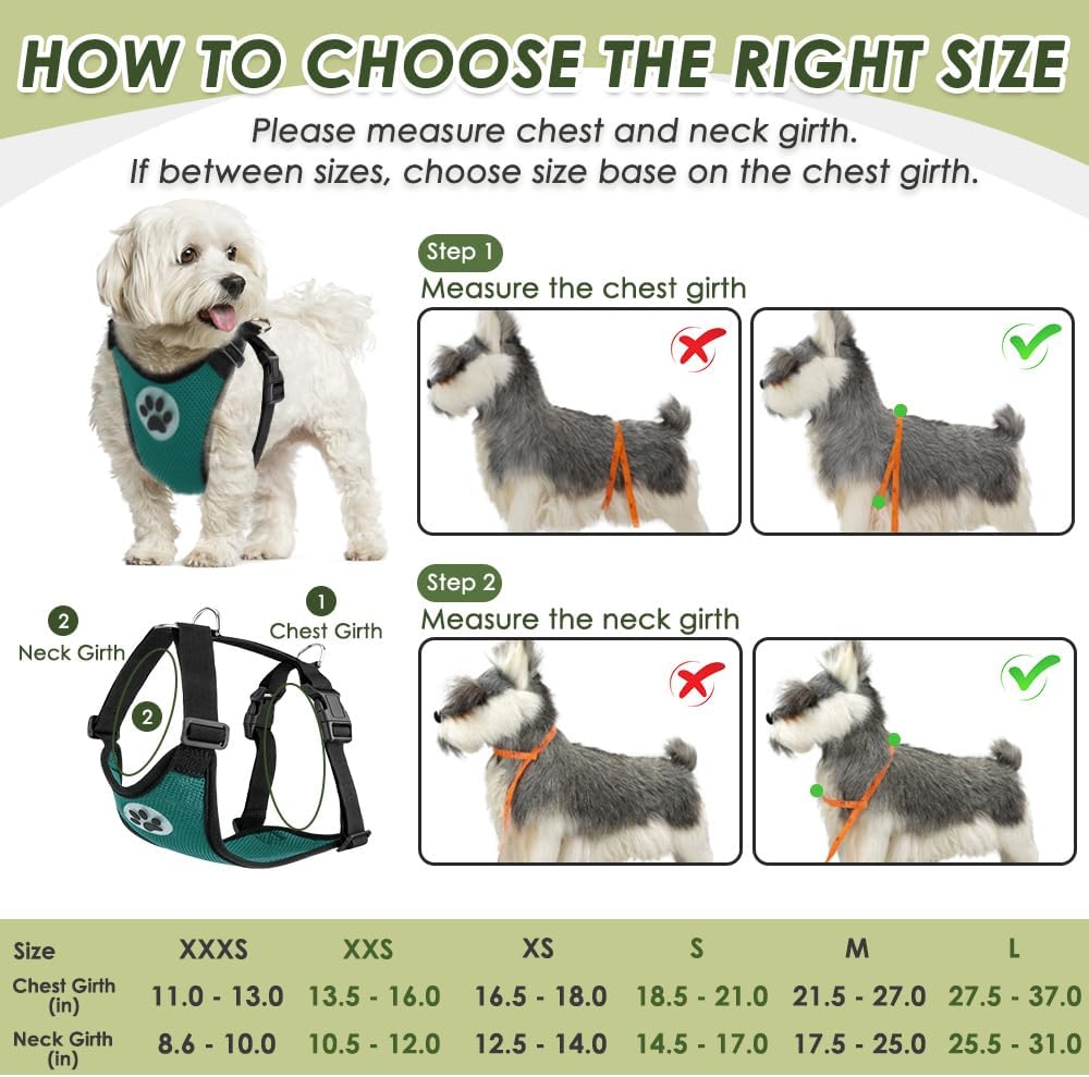 SlowTon Dog Seat Belt Harness for Car, Dog Car Harness Adjustable Mesh Breathable & Dog Seatbelt Safety Tether with Elastic Bungee for Small Medium Large Pets(Green, Double Clip, M) - Pet Explorer