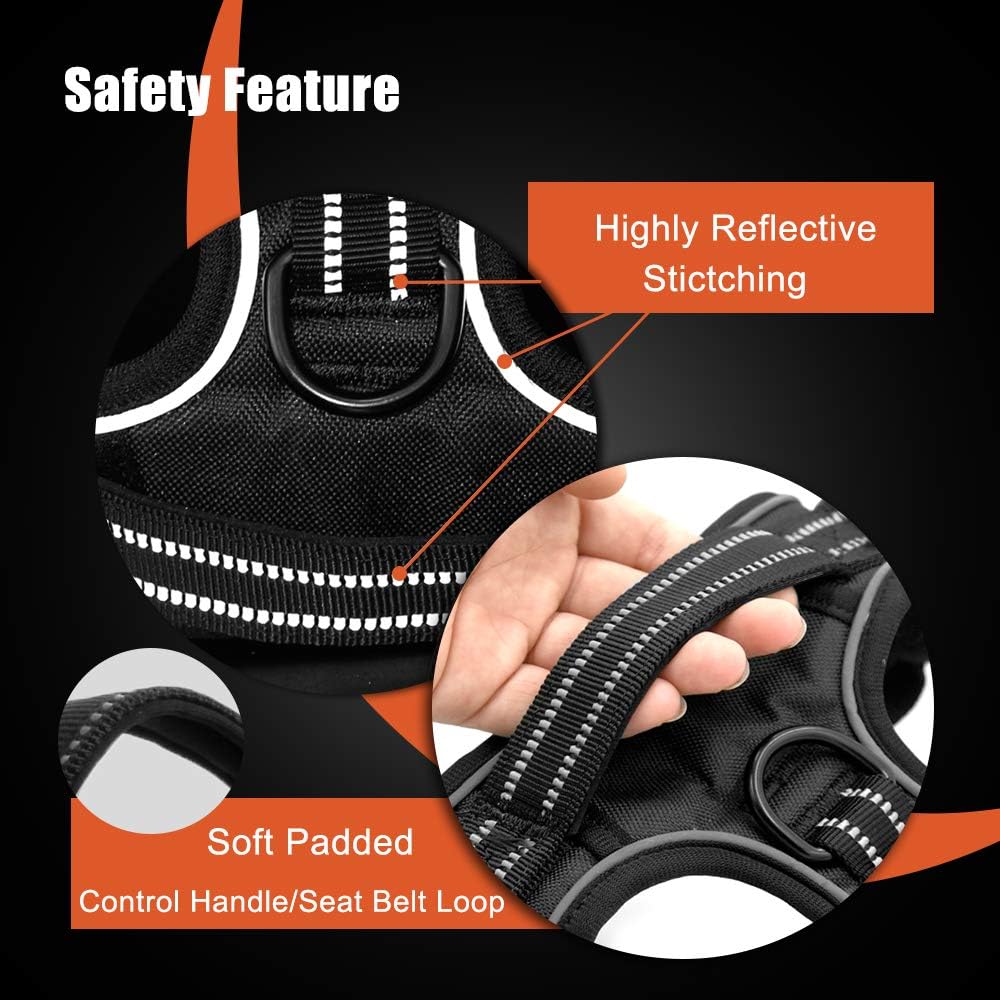 PHOEPET No Pull Dog Harnesses for Small Puppies Reflective Adjustable Front Clip Vest with 2 Metal Leash Attachment Hooks Soft Handle(S, Green) - Pet Explorer