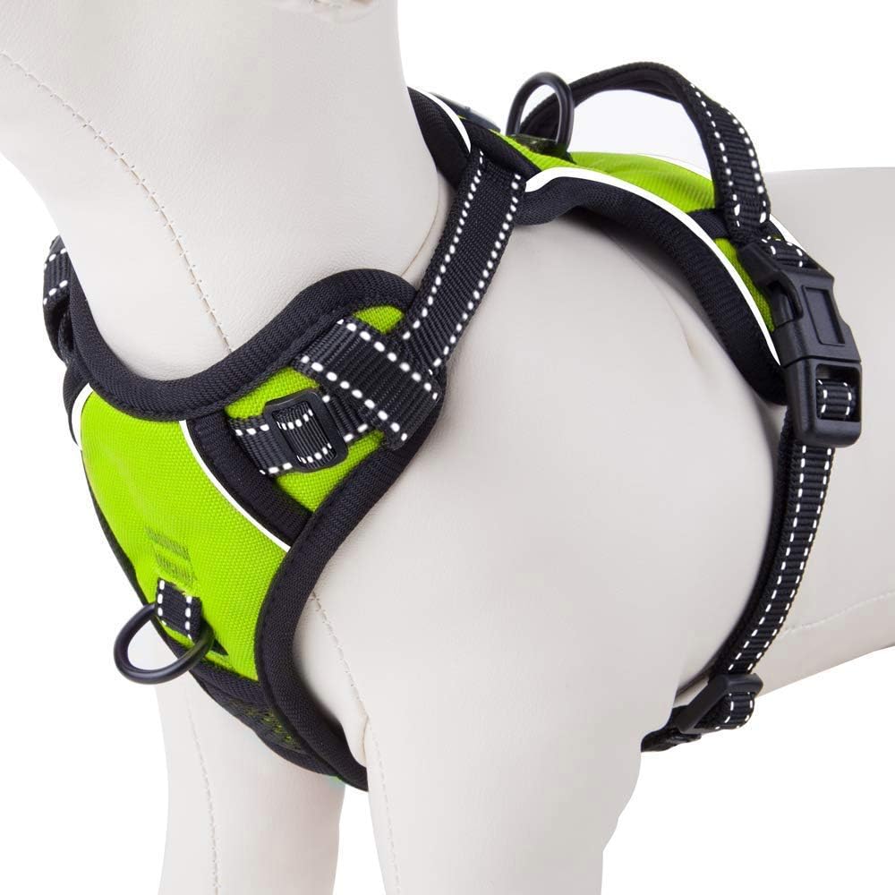 PHOEPET No Pull Dog Harnesses for Small Puppies Reflective Adjustable Front Clip Vest with 2 Metal Leash Attachment Hooks Soft Handle(S, Green) - Pet Explorer