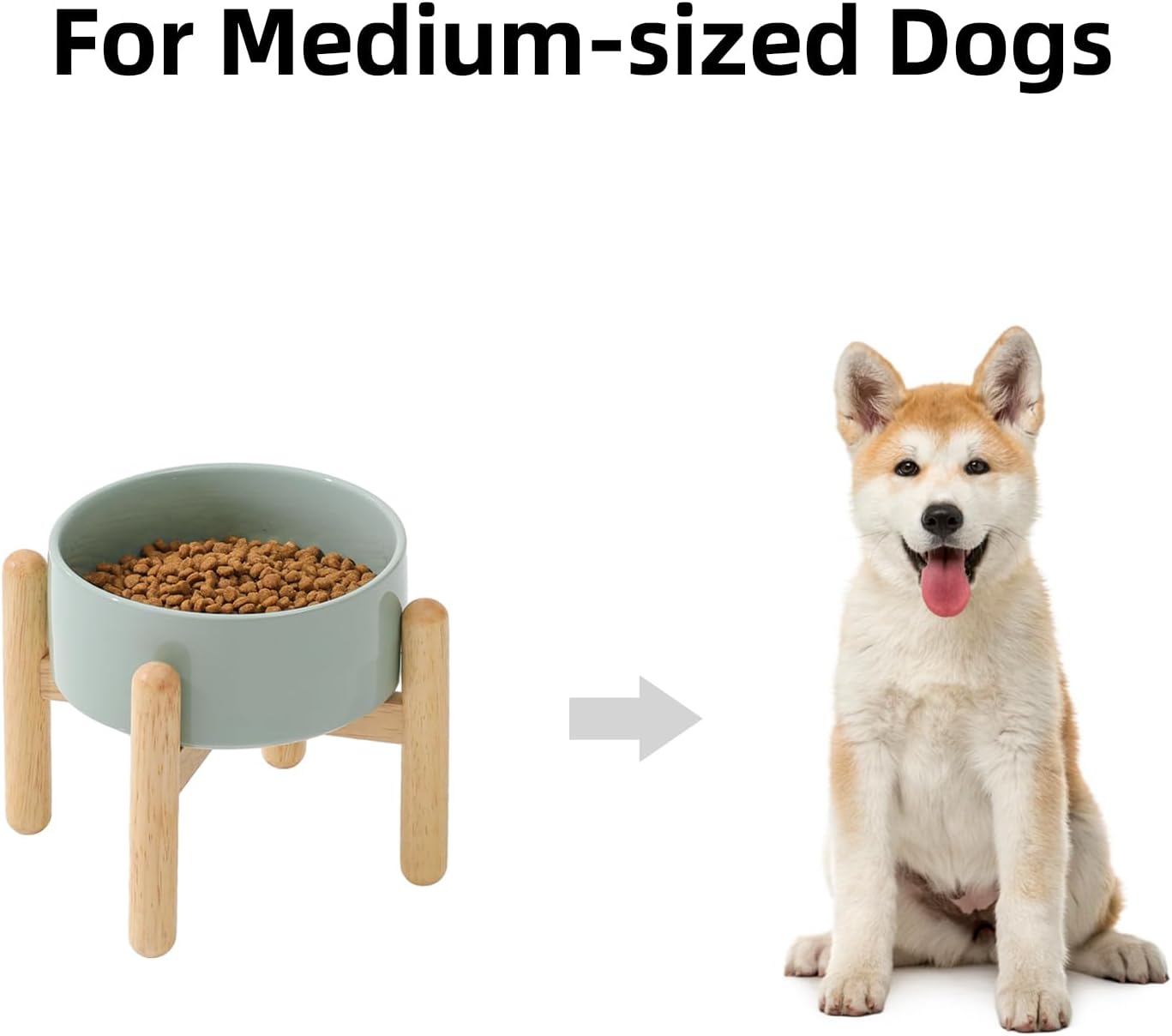 Ceramic 6.1inch Raised Dog Bowl with Stand for Small and Medium Dog Dish Pet Food and Water Bowl (Single Bowl with Stand - Light Green) - Pet Explorer