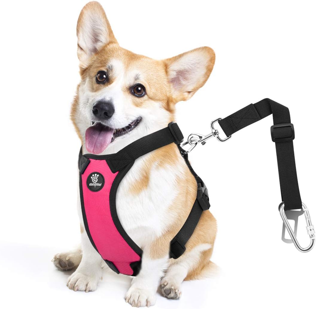 Dog Seat Belt, Safety Vest Dog Car Harness with Adjustable Buckle Dog Seat Belt for Vehicle Nylon Pet Safety Seat Belts Heavy Duty(M, Magenta) - Pet Explorer