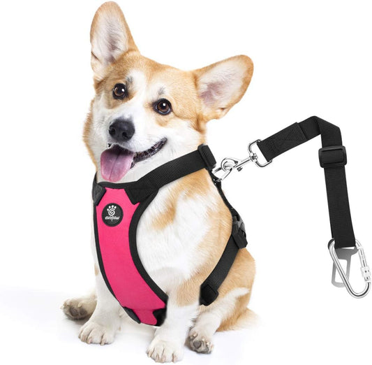 Dog Seat Belt, Safety Vest Dog Car Harness with Adjustable Buckle Dog Seat Belt for Vehicle Nylon Pet Safety Seat Belts Heavy Duty(M, Magenta) - Pet Explorer
