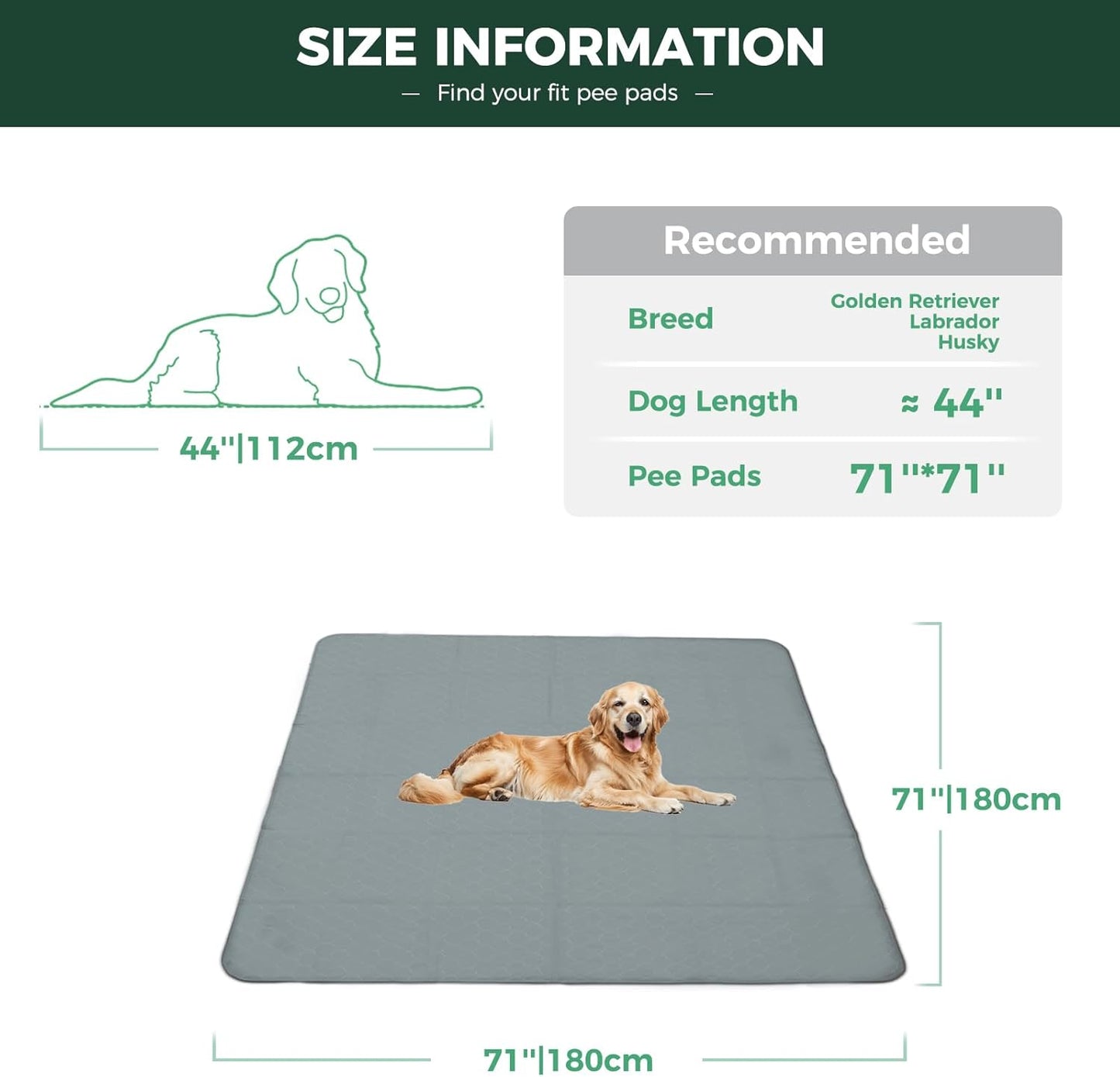 FXW Washable Pee Pads for Dogs, Puppy Pads with Super Absorbent, Specifically Designed for FXW Rollick/Homeplus 32inch 8 Panels Dog Playpen, 71" Square, Gray, 1 Pack - Pet Explorer