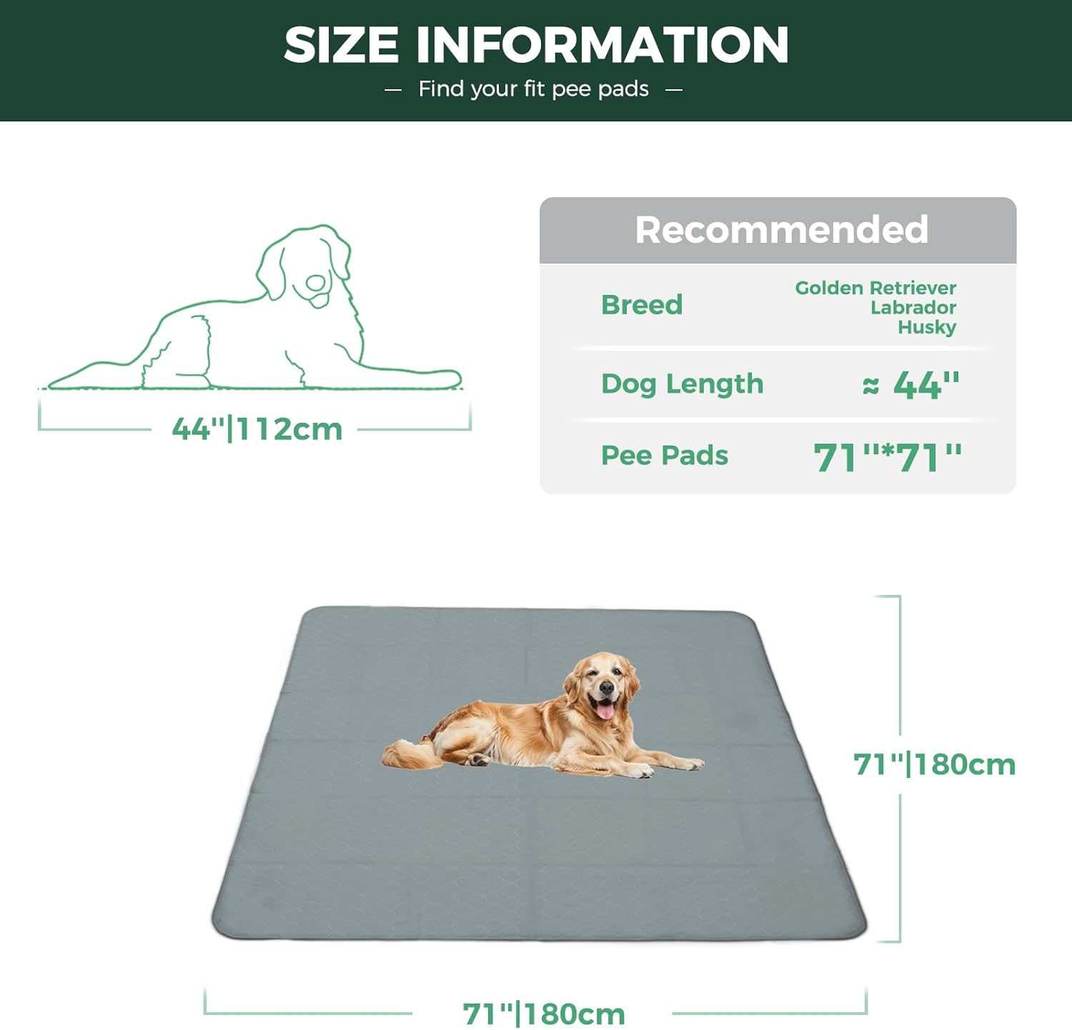 FXW Washable Pee Pads for Dogs, Puppy Pads with Super Absorbent, Specifically Designed for FXW Rollick/Homeplus 32inch 8 Panels Dog Playpen, 71" Square, Gray, 1 Pack - Pet Explorer