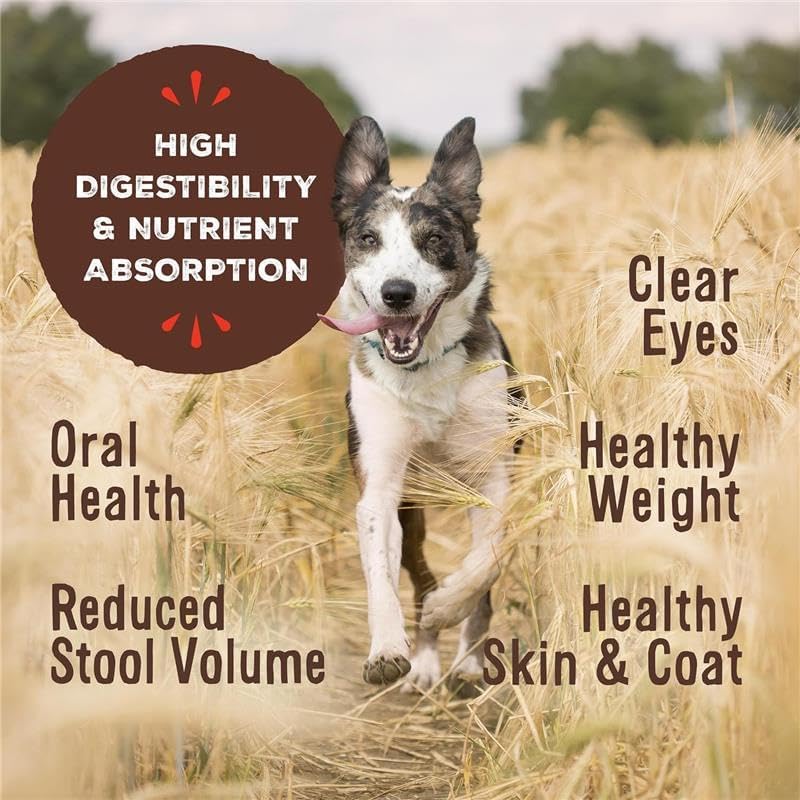 Primal Freeze Dried Dog Food, Pronto Mini Nuggets, Chicken; Scoop & Serve, Complete & Balanced Meal;Also Use As Topper or Treat; Premium, Healthy, Grain Free, High Protein Raw Dog Food (25 oz, 2-Pack)