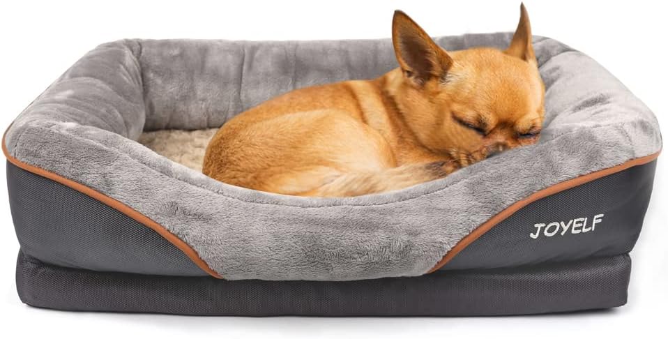 JOYELF Memory Foam Dog Bed Small Orthopedic Dog Bed & Sofa with Removable Washable Cover and Squeaker Toy as Gift - Pet Explorer