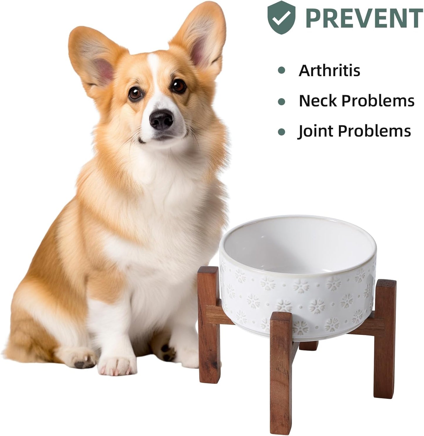 Ceramic 6.1inch Raised Dog and Cat Bowl Set, 2 Heights Elevated with Acacia Wood Stand, Food and Water Bowl for Small Breed Dogs, Weighted Dog Dishes(27oz, Arctic White) - Pet Explorer