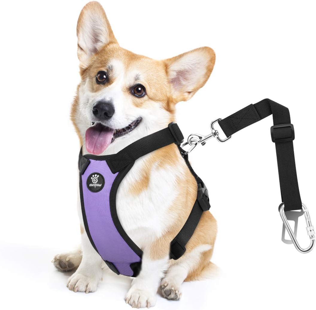 Dog Seat Belt, Safety Vest Dog Car Harness with Adjustable Buckle Dog Seat Belt for Vehicle Nylon Pet Safety Seat Belts Heavy Duty(S, Purple) - Pet Explorer