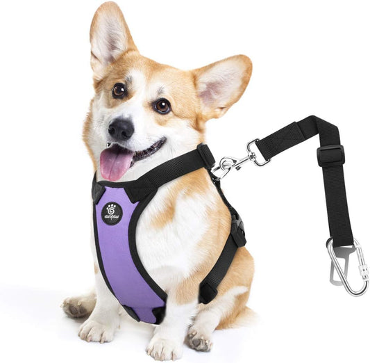 Dog Seat Belt, Safety Vest Dog Car Harness with Adjustable Buckle Dog Seat Belt for Vehicle Nylon Pet Safety Seat Belts Heavy Duty(S, Purple) - Pet Explorer