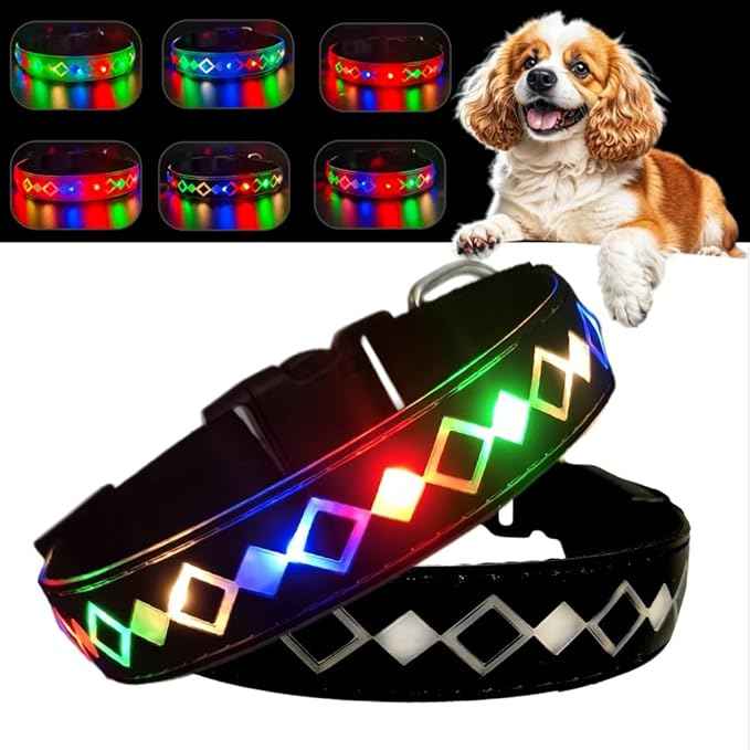 LED Dog Collar with AirTag Holder and Custom ID Tag, 15 Light Modes, Waterproof, Multiple Colors (BLACK Pro, M(11.8-15.7"))