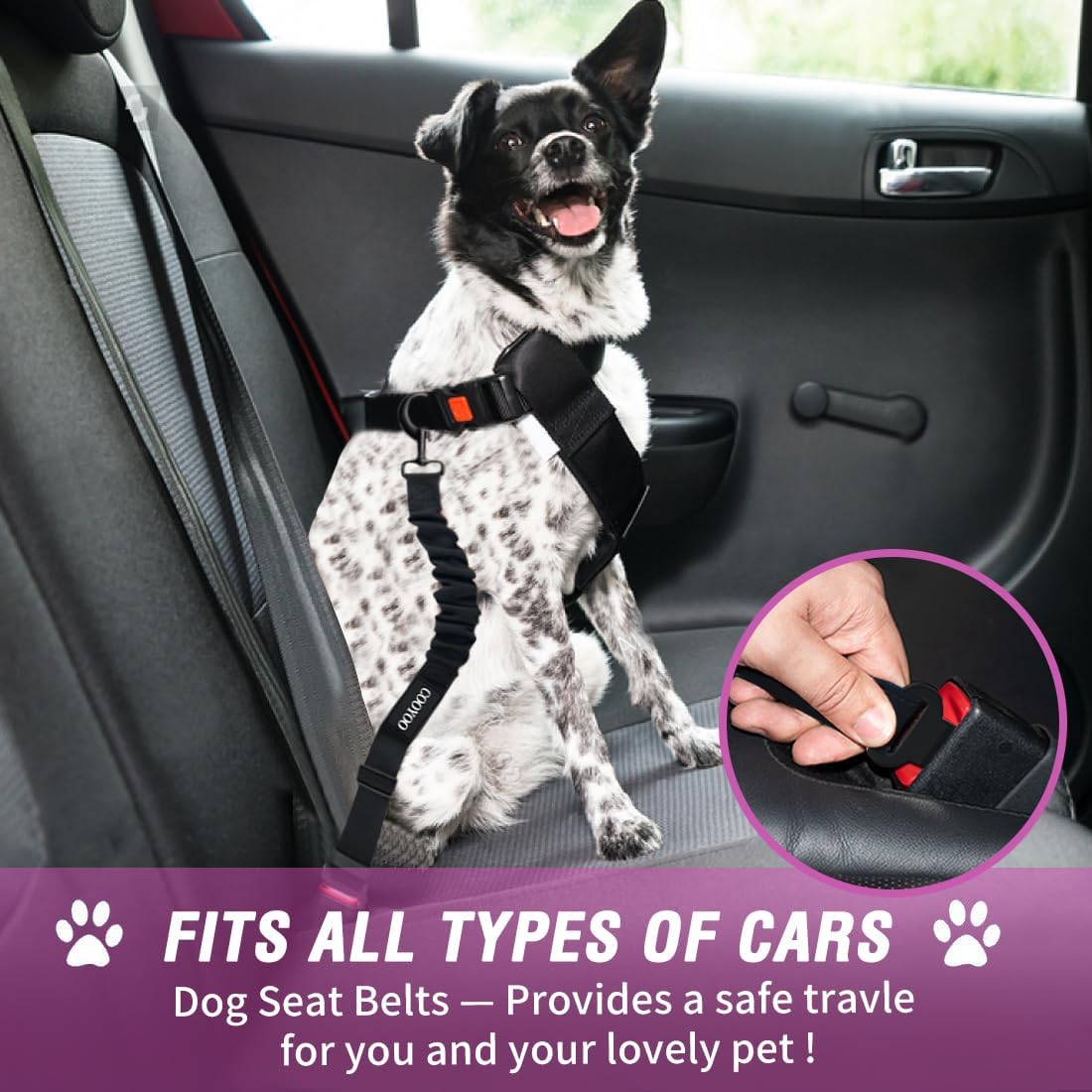 COOYOO Dog Seat Belt, Durability Retractable Dog Car Harness Adjustable Dog Seat Belt for Vehicle Nylon Pet Safety Seat Belts Heavy Duty & Elastic - Pet Explorer