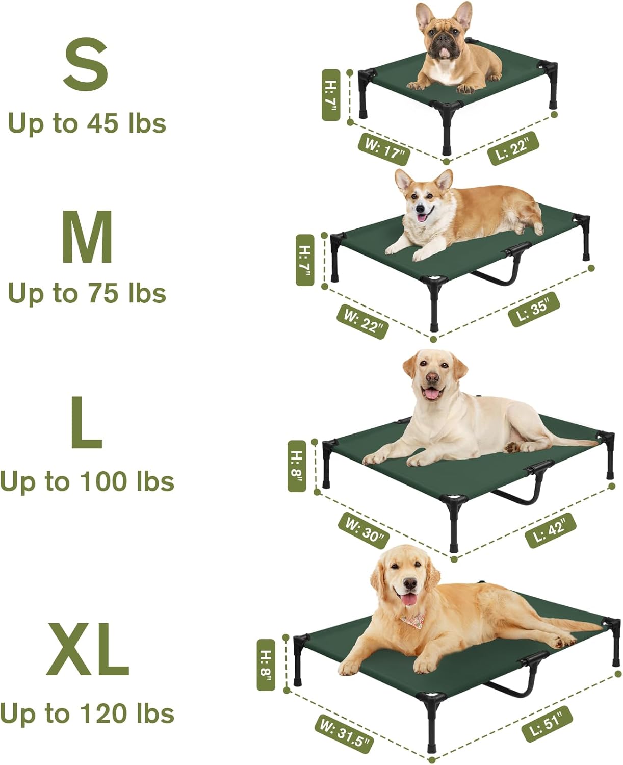 Outdoor Elevated Dog Beds Medium Sized Dog, Cooling Raised Dogs Cots Bed with Breathable Mesh, Portable Lifted Pet Hammock, Non-Slip Feet, Green, M - Pet Explorer