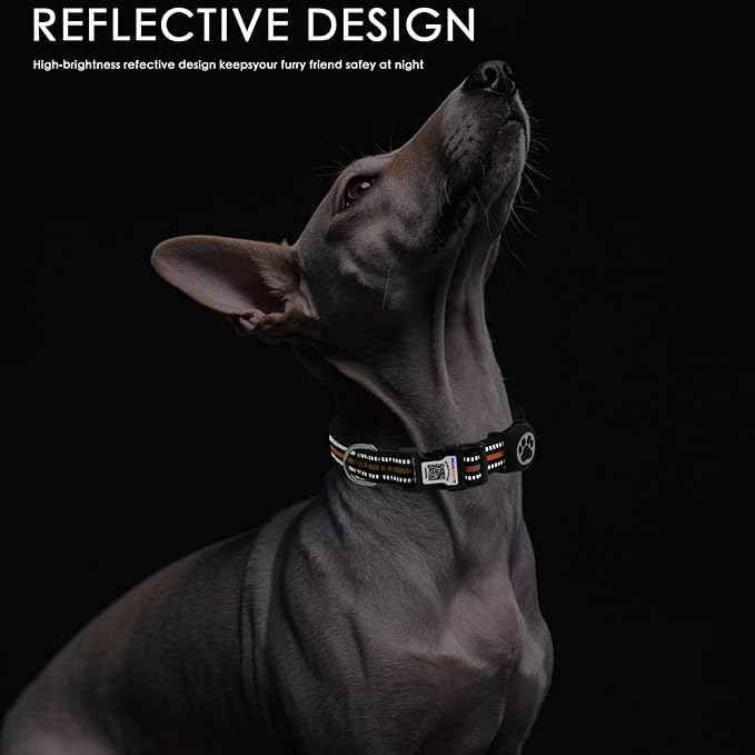Airtag Dog Collar with QR Code Tag - Reflective Adjustable Nylon Collar, Quick Release Buckle for Small Medium Large Dogs, Comfortable Padded Lining (Orange, M)