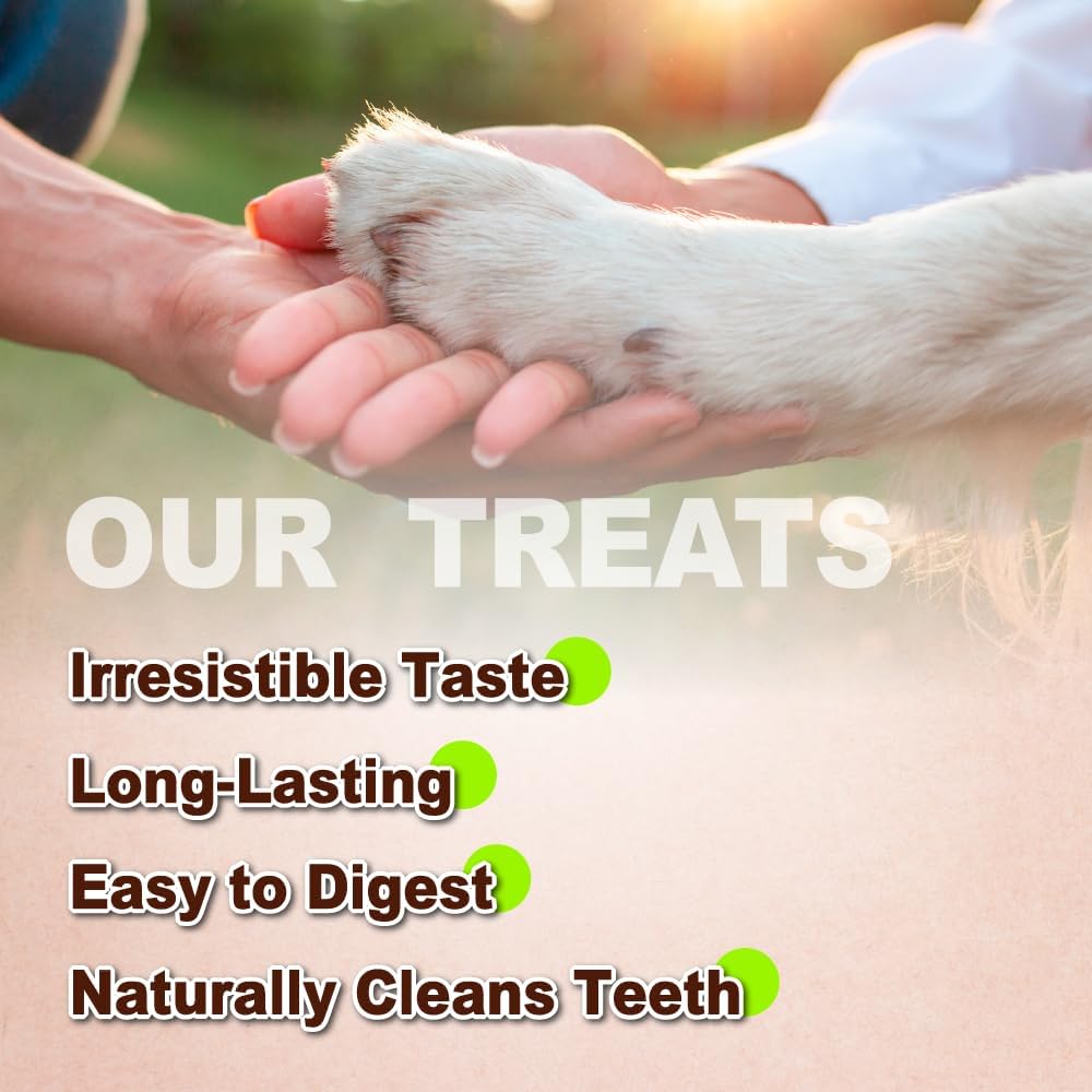 AFreschi Turkey Tendons for Dogs, USA-Sourced, Healthy Dog Treats, Rawhide-Free Puppy Chews, Long Lasting, All Natural, Hypoallergenic Dog Treats for Large Breeds, 2 Count Pack Rope (L)