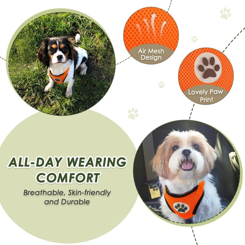 SlowTon Dog Seat Belt Harness for Car, Dog Car Harness Adjustable Mesh Breathable & Dog Seatbelt Safety Tether with Elastic Bungee for Small Medium Large Pets(Orange, Double Clip, L) - Pet Explorer