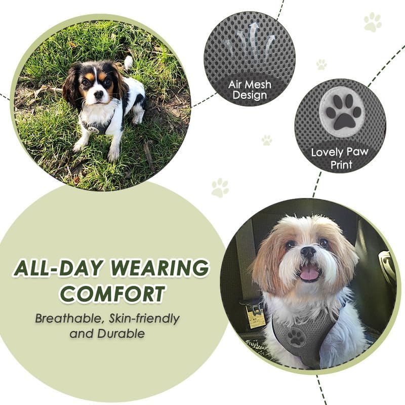 SlowTon Dog Seat Belt Harness for Car, Dog Car Harness Adjustable Mesh Breathable & Dog Seatbelt Safety Tether with Elastic Bungee for Small Medium Large Pets(Grey, Double Clip, XXXS) - Pet Explorer
