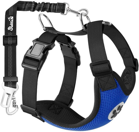 SlowTon Dog Seat Belt Harness for Car, Dog Car Harness Adjustable Mesh Breathable & Dog Seatbelt Safety Tether with Elastic Bungee for Small Medium Large Pets(Blue, Double Clip, XXS) - Pet Explorer