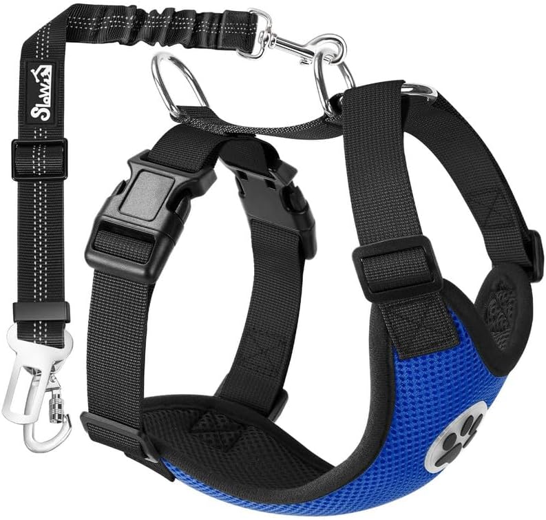 SlowTon Dog Seat Belt Harness for Car, Dog Car Harness Adjustable Mesh Breathable & Dog Seatbelt Safety Tether with Elastic Bungee for Small Medium Large Pets(Blue, Double Clip, XXXS) - Pet Explorer