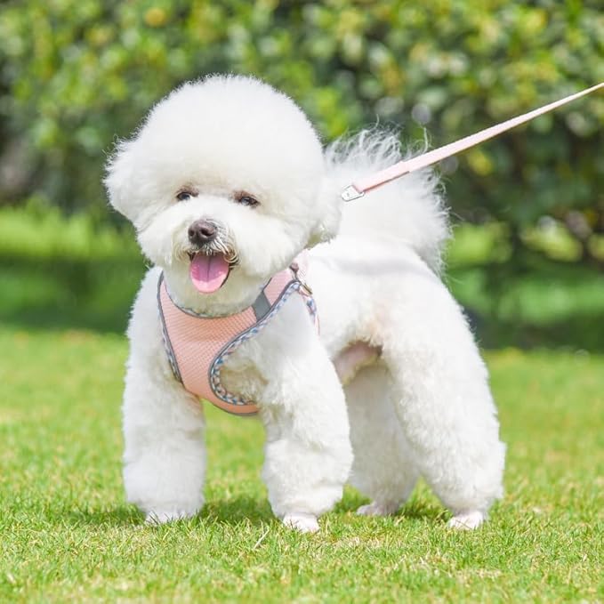 Dog Harness and Leash Set, No Pull Adjustable Reflective Pet Harness, Mesh Step in Vest Harness Easy Walk Dog Harness Outdoor Hiking Training for Small Medium Dogs, Cats(Pink, M)
