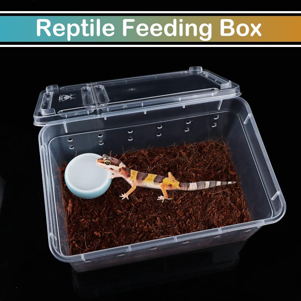 5 Pcs Spider Small Terrariums Breeding Box Transparent Hatching Container Plastic Feeding Box for Small Reptile Spider Scorpion Centipede Insect - Pet Explorer