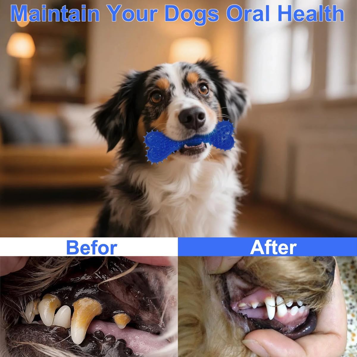 Dog Toys 15 Pack for Teeth Cleaning and Fun, Puppy Teething Chew Toys Interactive Rope Squeaky Treat Balls & Rubber Tous Bulk– Variety Dog Gifts Set Reduce Anxiety & Save Furniture - Pet Explorer