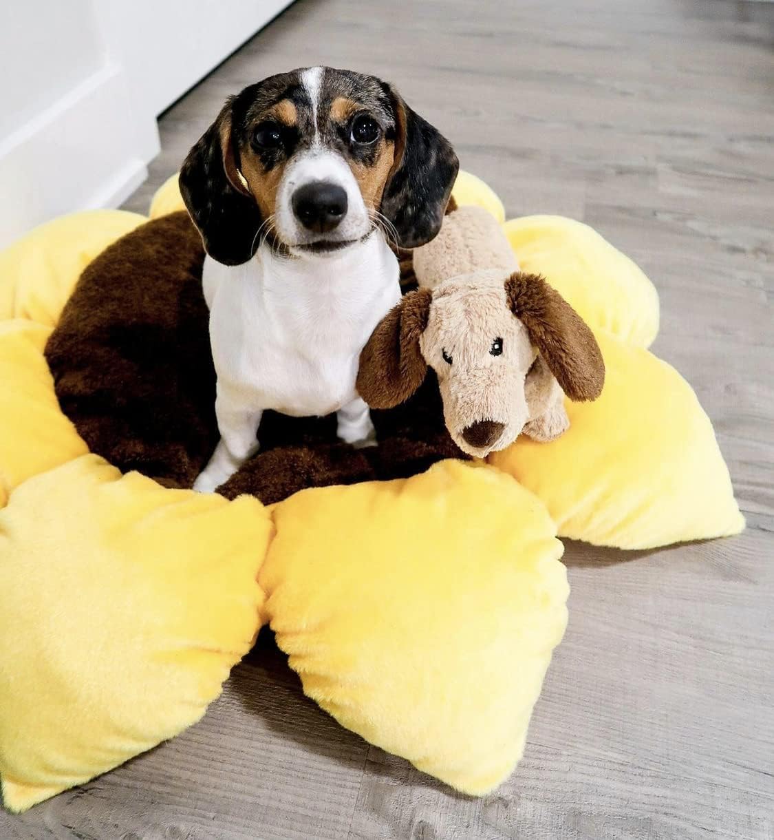 TONBO Soft Plush Small Cute and Cozy Nature Dog Cat Bed, Washer and Dryer Friendly (Sunflower) - Pet Explorer