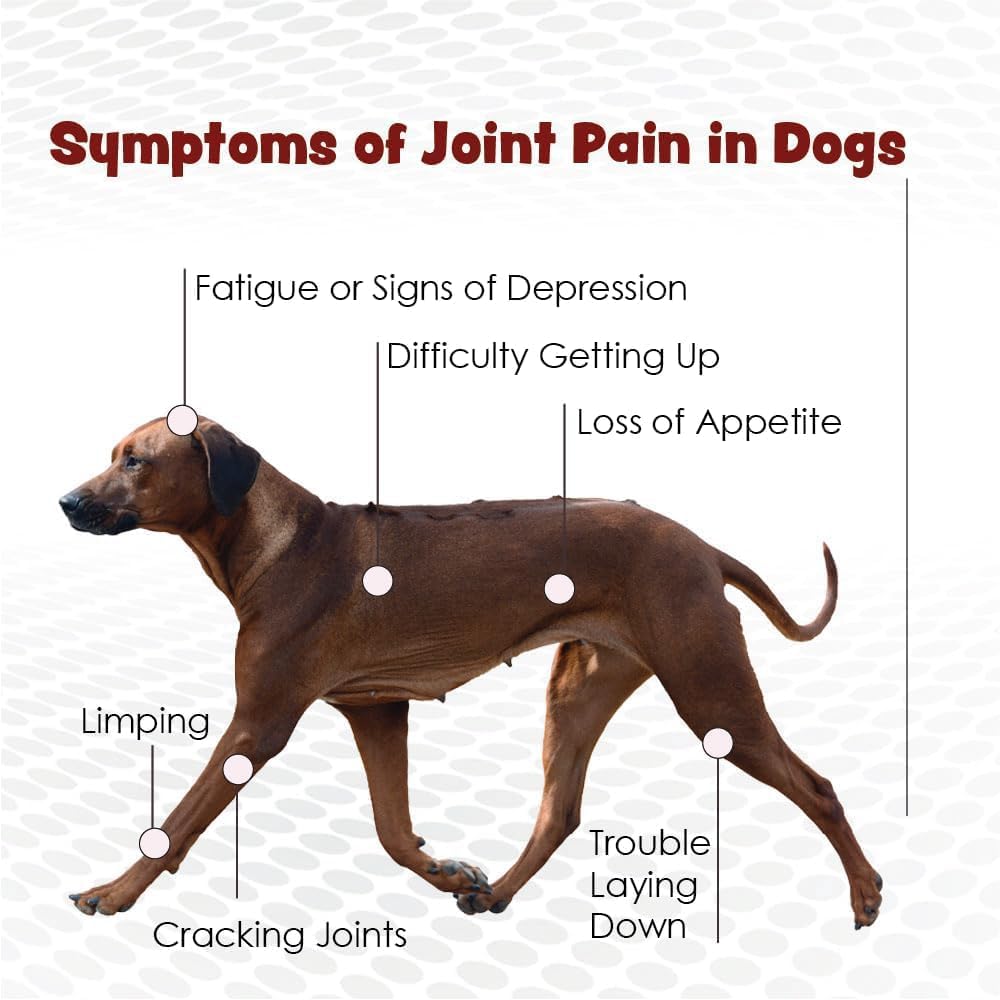 PHS Joint MAX Triple Strength (TS) Chewable Tablets for Dogs - Glucosamine, Chondroitin, MSM - Vitamins, and Antioxidants - Hip and Joint Pain Relief and Support Supplement - Made in USA - 120 Tablets - Pet Explorer