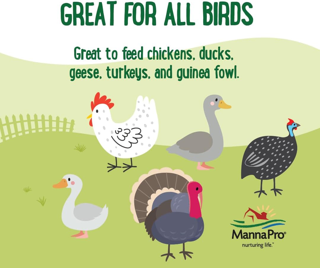 Manna Pro Farmhouse Favorites Oat & Mealworm Mix Poultry Treat – Natural Protein Source – Encouraging Poultry Treat – Mix of Oats, Peanuts, Raisins, Mealworms, Sunflower Kernels – 2lbs