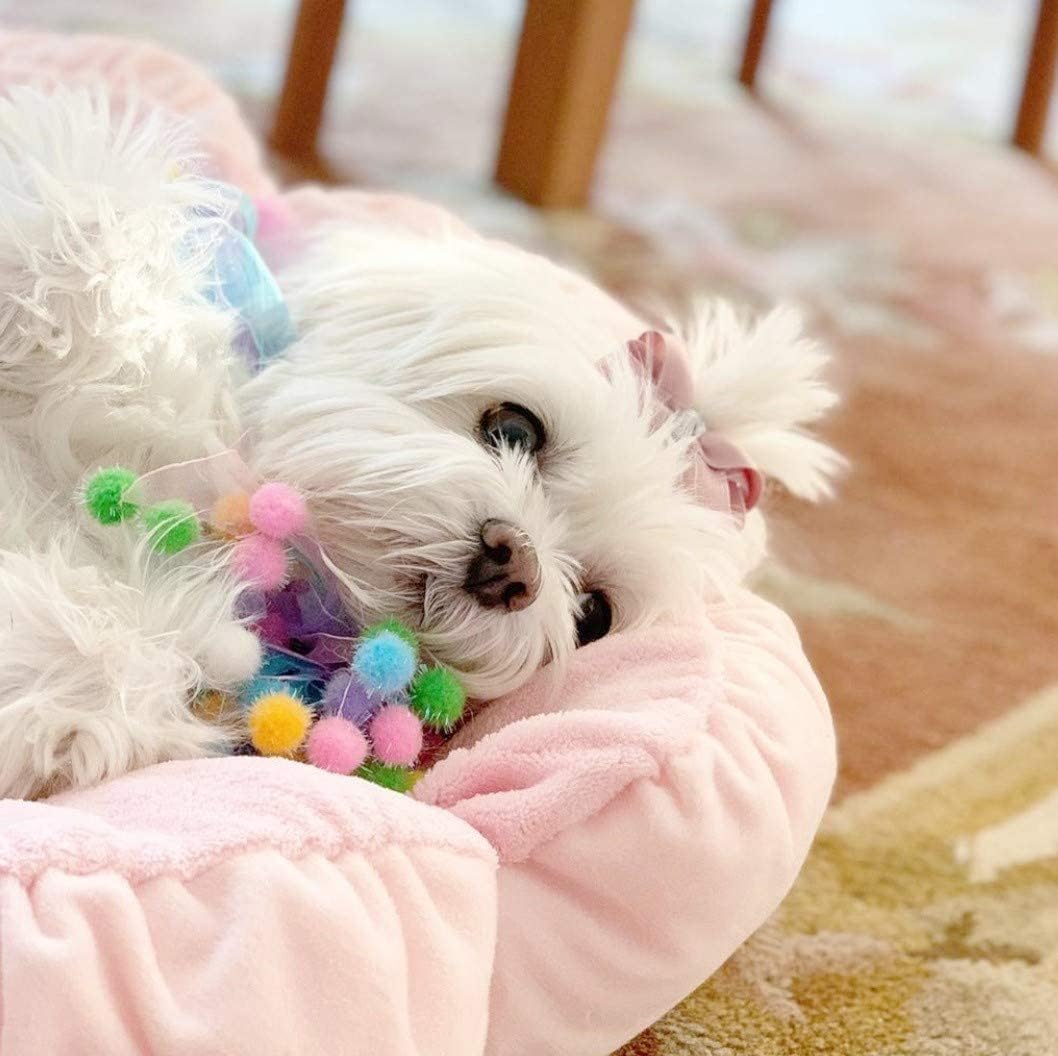 TONBO Soft Plush Small Cute and Cozy Pastel Pink Flower Dog Cat Bed, Washer and Dryer Friendly, (Pastel Pink) - Pet Explorer