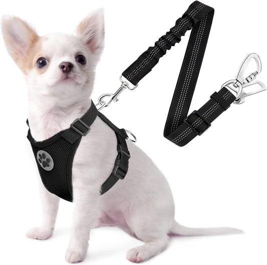SlowTon Dog Seat Belt Harness for Car, Dog Car Harness Adjustable Mesh Breathable & Dog Seatbelt Safety Tether with Elastic Bungee for Small Medium Large Pets(Black, Double Clip, XXS) - Pet Explorer