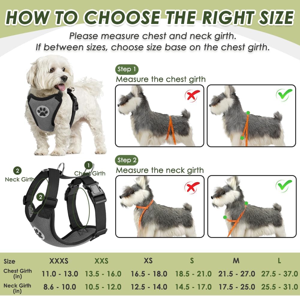 SlowTon Dog Seat Belt Harness for Car, Dog Car Harness Adjustable Mesh Breathable & Dog Seatbelt Safety Tether with Elastic Bungee for Small Medium Large Pets(Grey, Double Clip, XS) - Pet Explorer