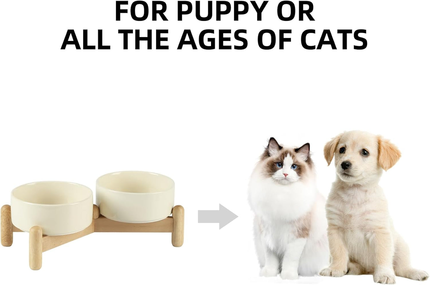 Ceramic 5.1inch Raised Double Bowls Set with Wooden Stand, Elevated Food & Water Bowls for Small Breed Dogs, Cats, Kitty, Weighted Dog Dishes, Pet Bowls(13.5oz, Beige) - Pet Explorer