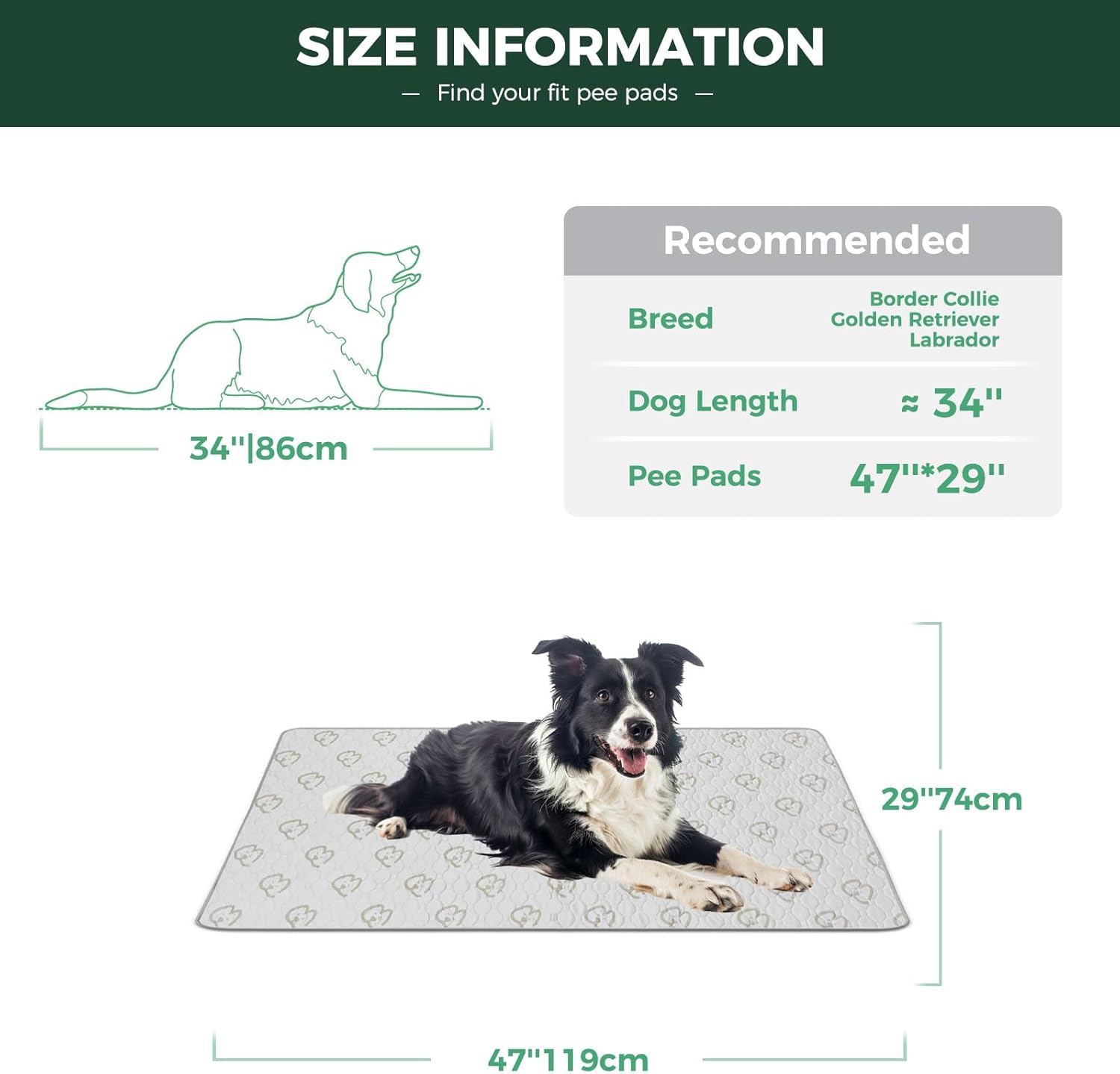 FXW Washable Pee Pads for Dogs, Puppy Pads with Super Absorbent, Specifically Designed for 48inch Cages, 47" × 29" Rectangle, Khaki, 2 Packs - Pet Explorer