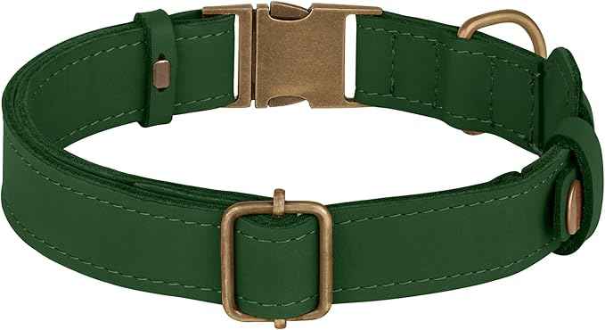 AirTag Dog Collar - Genuine Leather Dog Collar with Apple AirTag Holder and Metal Buckle - Smart GPS Tracking Pet Collars (Dark Green, XS, 9"-12" Neck Fit)