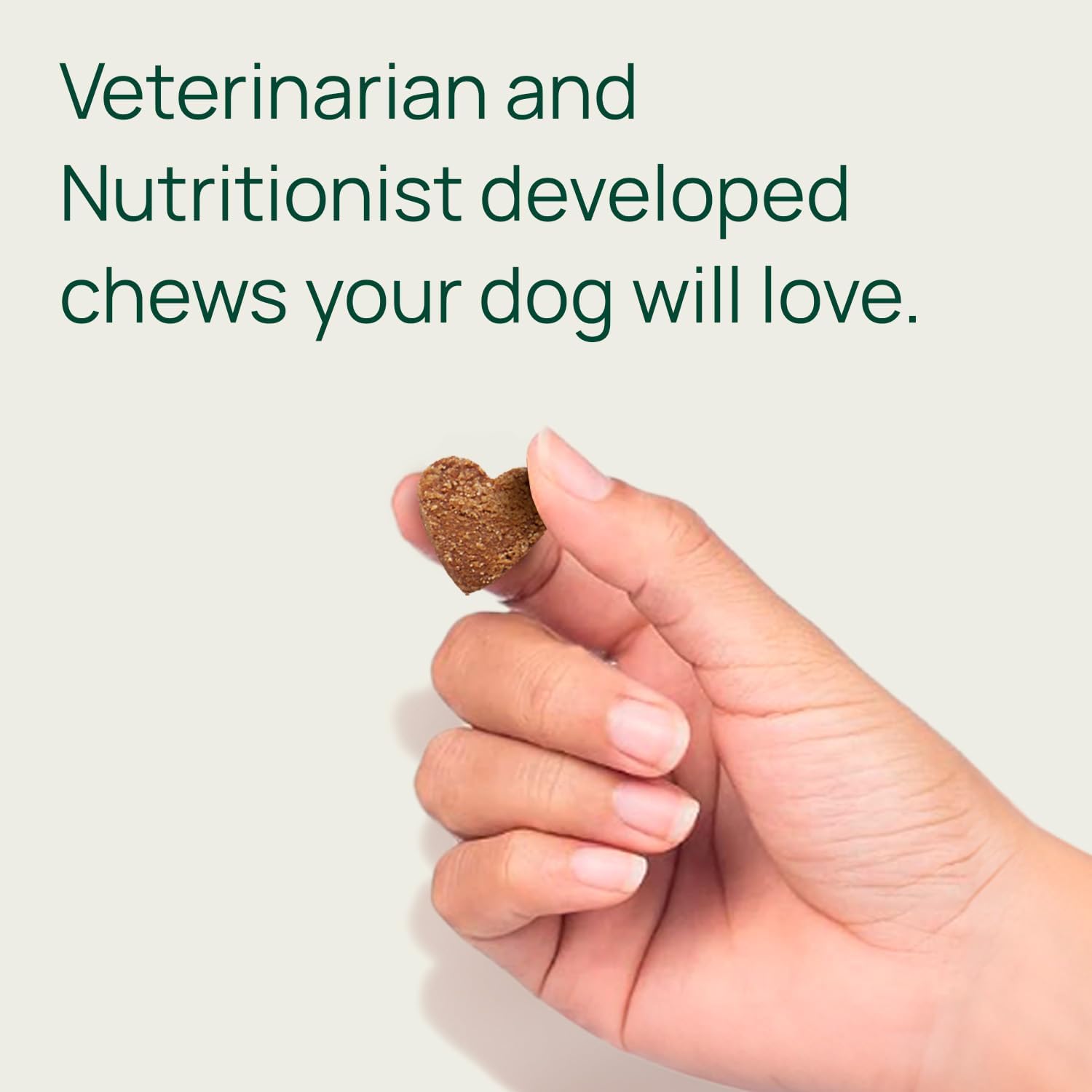 pawTree Joint & Hip Support Supplement for Dogs & Cats with Glucosamine, Chondroitin, MSM, Tumeric & Green Lipped Mussels - Vitamins & Health Essentials - All-Natural Mobility Soft Chews - Pet Explorer