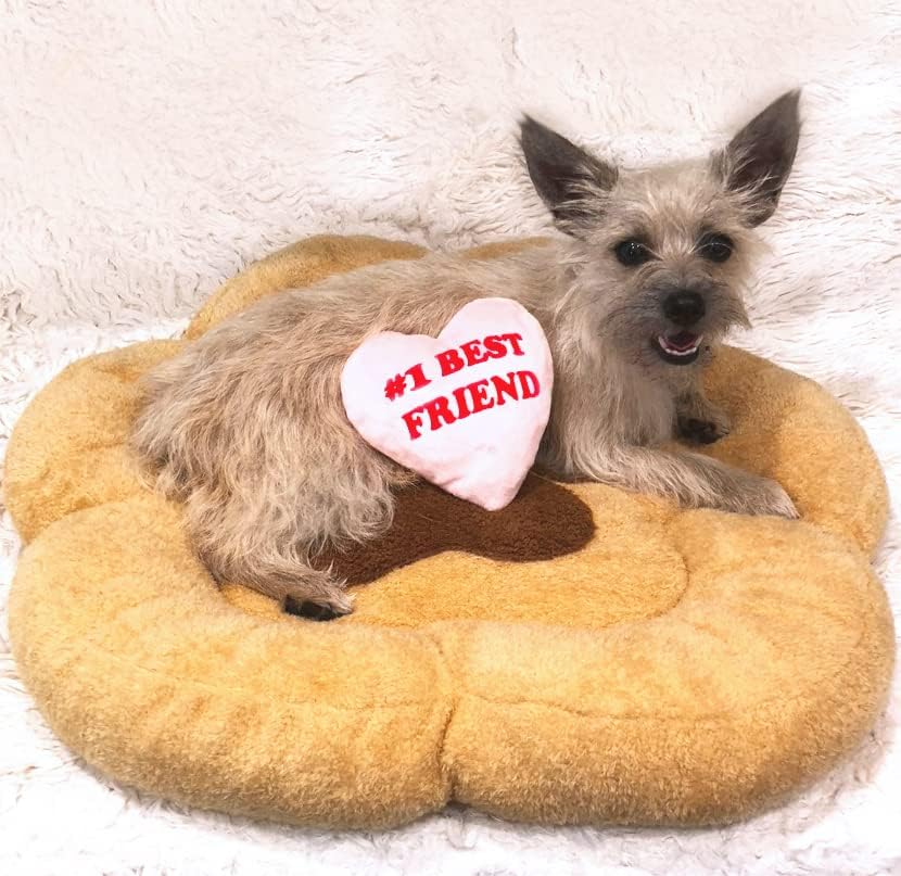 TONBO Soft Plush Small Cute and Cozy Nature Dog Cat Bed, Washer and Dryer Friendly (Paw) - Pet Explorer