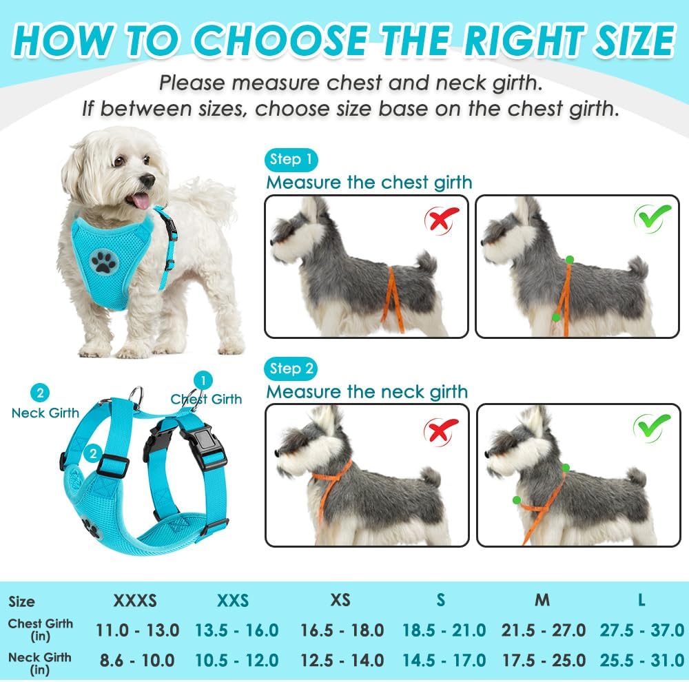 SlowTon Dog Seat Belt Harness for Car, Dog Car Harness Adjustable Mesh Breathable & Dog Seatbelt Safety Tether with Elastic Bungee for Small Medium Large Pets(Light Blue, Double Clip, S) - Pet Explorer
