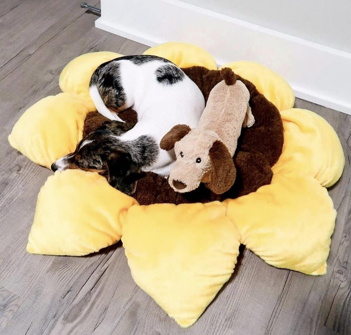 TONBO Soft Plush Small Cute and Cozy Nature Dog Cat Bed, Washer and Dryer Friendly (Sunflower) - Pet Explorer