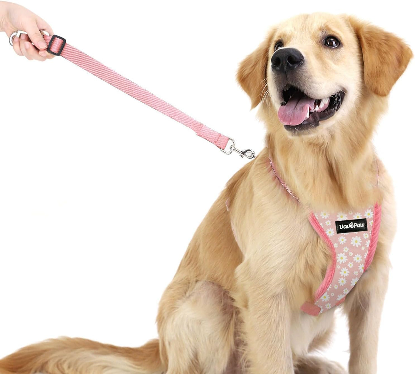 Dog Seat Belt, Safety Vest Dog Car Harness with Adjustable Buckle Dog Seat Belt for Vehicle Nylon Pet Safety Seat Belts Heavy Duty(XL, Pink Daisy) - Pet Explorer