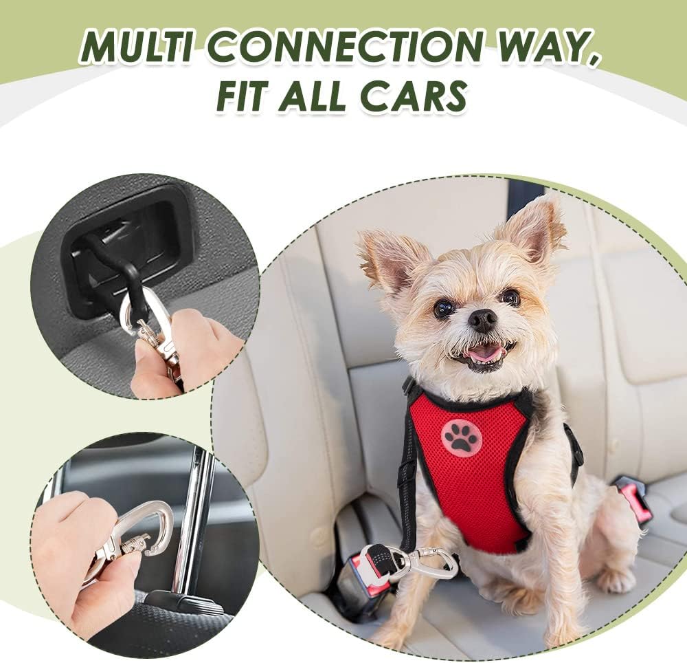 SlowTon Dog Seat Belt Harness for Car, Dog Car Harness Adjustable Mesh Breathable & Dog Seatbelt Safety Tether with Elastic Bungee for Small Medium Large Pets(Red, Double Clip, XXXS) - Pet Explorer