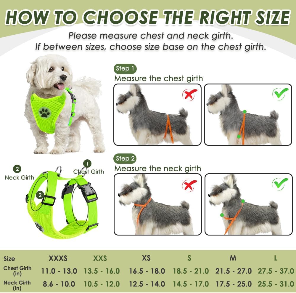 SlowTon Dog Seat Belt Harness for Car, Dog Car Harness Adjustable Mesh Breathable & Dog Seatbelt Safety Tether with Elastic Bungee for Small Medium Large Pets(Lime, Double Clip, XXS) - Pet Explorer