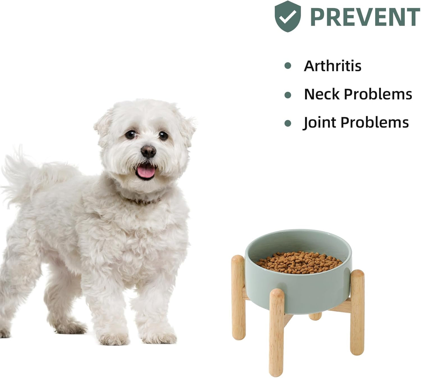 Ceramic 6.1inch Raised Dog Bowl with Stand for Small and Medium Dog Dish Pet Food and Water Bowl (Single Bowl with Stand - Light Green) - Pet Explorer