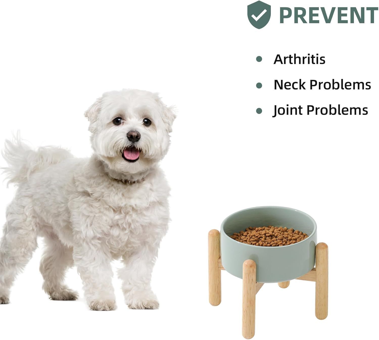Ceramic 6.1inch Raised Dog Bowl with Stand for Small and Medium Dog Dish Pet Food and Water Bowl (Single Bowl with Stand - Light Green) - Pet Explorer