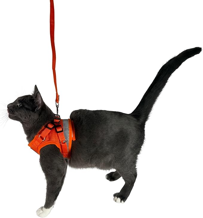Travel Cat Harness and Leash Set - Adjustable Fit Mesh Cat Harness and Reflective Strap - Comfort Walking Vest for Kitten for Outdoor Walking, Hiking (Medium, Orange)